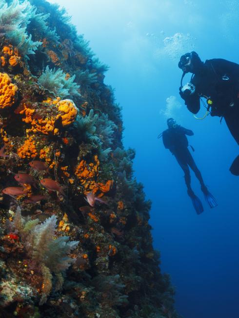 plonger sous marine cheque vacances connect