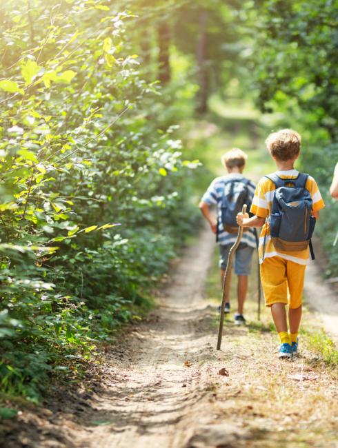 voyage nature center parcs