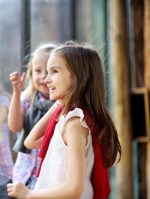 oiseaux zoo de jurques