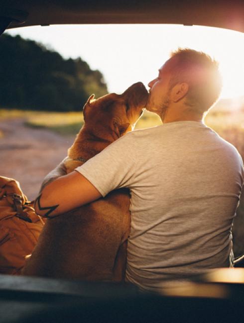 voyager en train avec son chien
