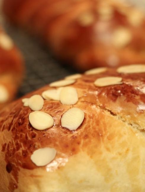 Au Nord, c’était la coquille