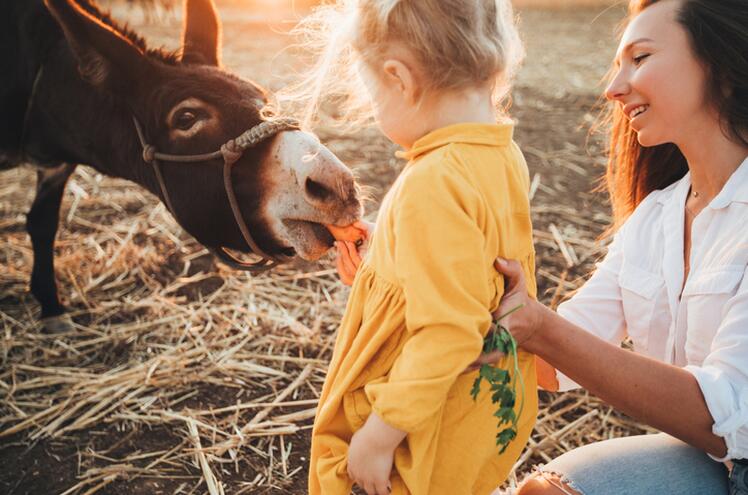 âne de bat en famille vacances
