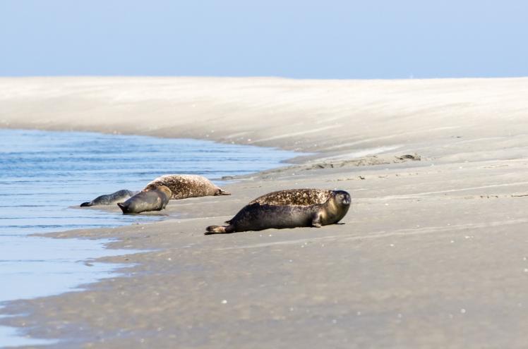 week end baie de somme 