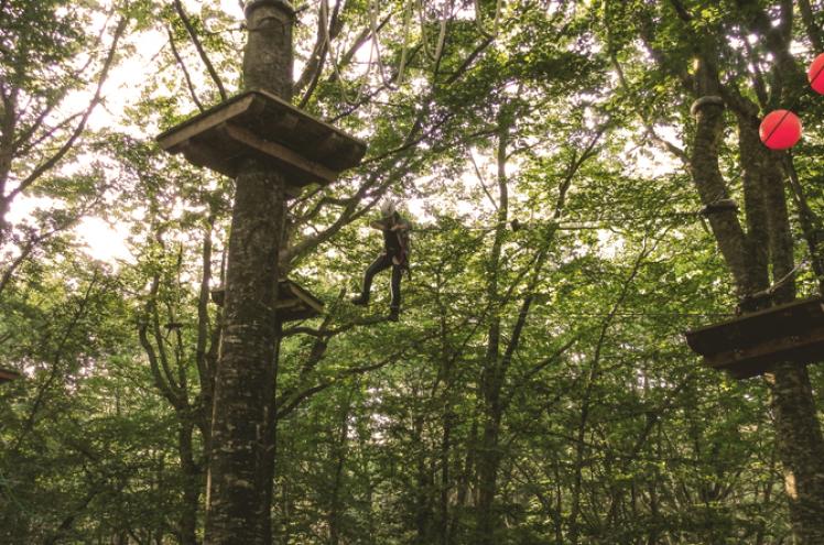 accrobranche-automne