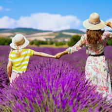 activites famille paca