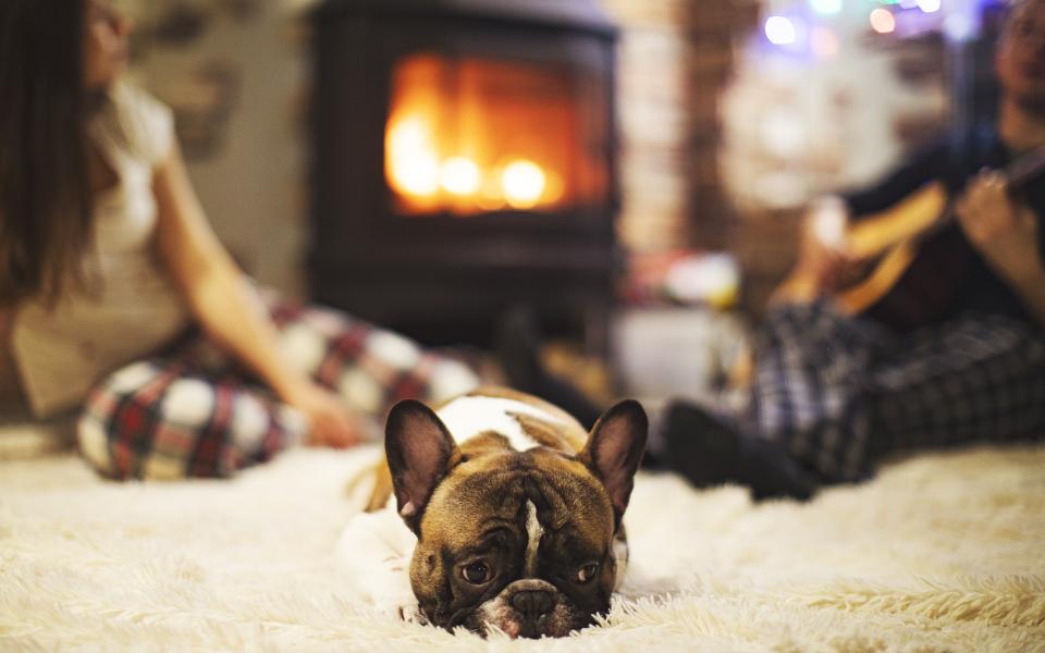 location montagne auvergne