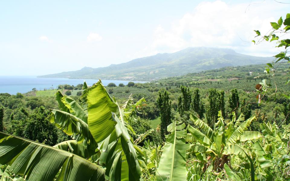 visiter la presqu'ile de caravelle avec les cheques vacances