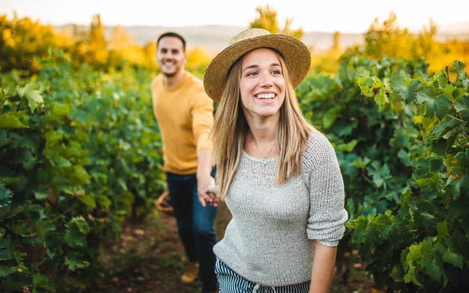 Route des vins du beaujolais