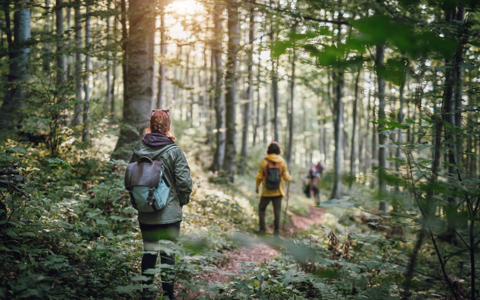 micro-aventure jungle ANCV