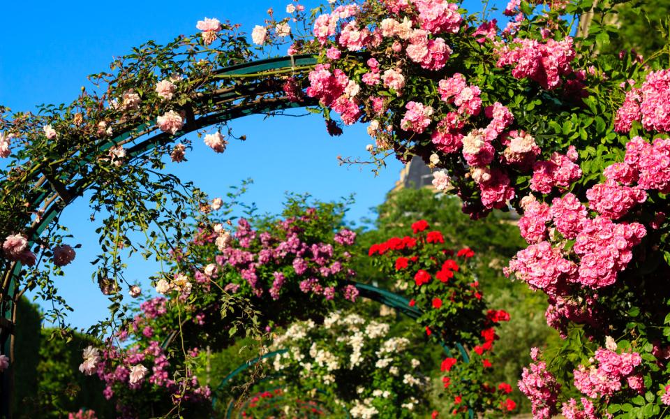 Visite par Roseraie Île-de-France ANCV