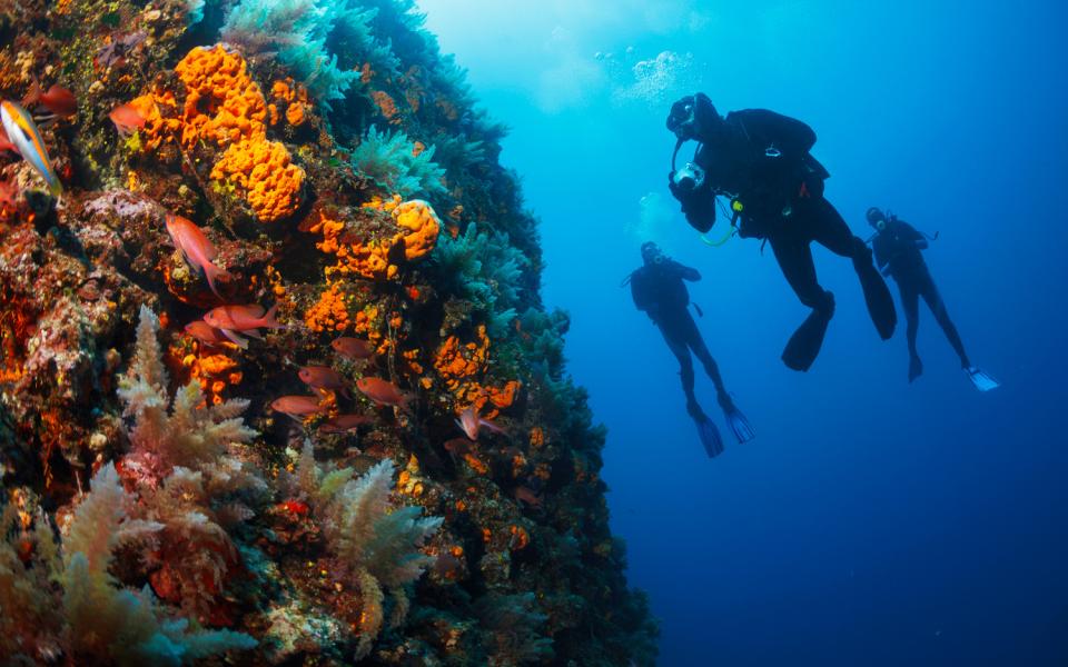 Anniversaire surprise plongée baptême ANCV