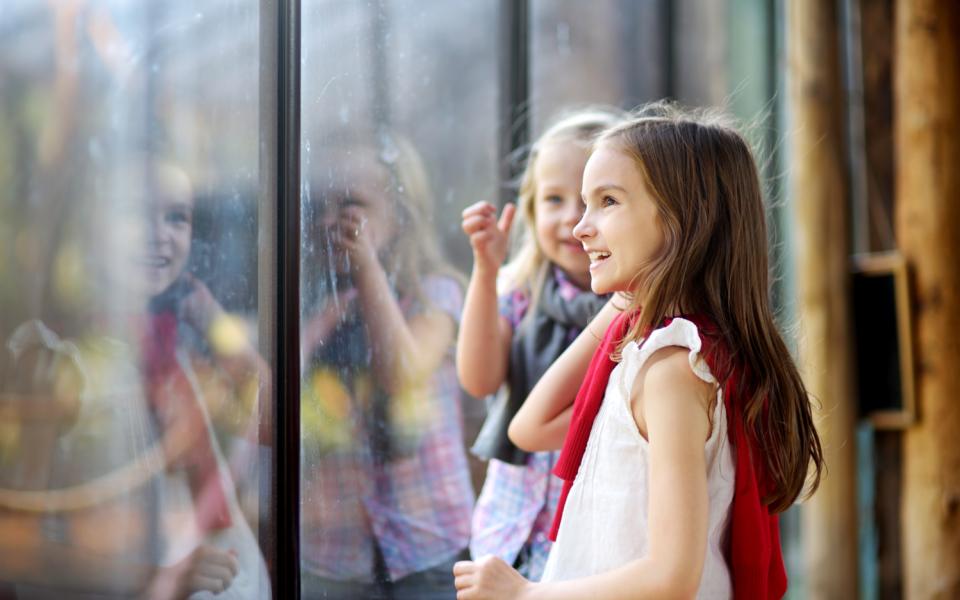 Zoo de Mulhouse ANCV