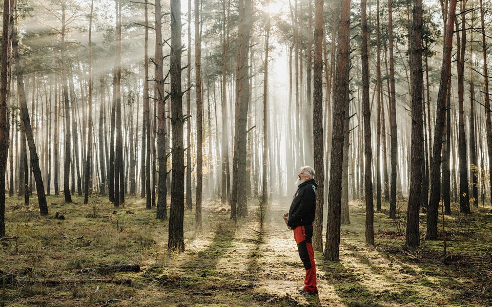 bain foret activite bien etre