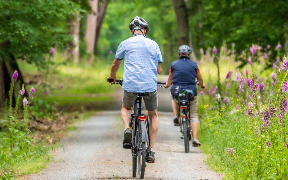 balade velo lille foret