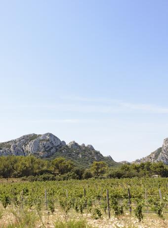 Week-end dans les Alpilles, pour s’évader en pleine nature La Provence-Alpes-Côte-d’Azur est la région qui possède le plus grand nombre de parcs naturels en France. Autant dire que les amoureux de nature seront séduits par un week-end en PACA ! Au cœur du Parc Naturel des Alpilles, échappez-vous de votre quotidien pour vivre une aventure à mi-chemin entre la garrigue provençale et les forêts alpines. Troquez votre téléphone pour une paire de baskets et suivez les mille et un chemins qui se dessinent dans le