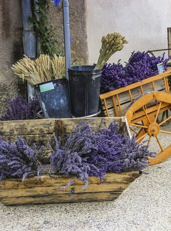 Un week-end en PACA pour se retrouver en famille Partir pour un week-end en PACA, c’est prendre le temps de ralentir pour apprécier un peu plus intensément chaque moment passé ensemble. C’est le lieu idéal pour rassembler sa tribu et créer des souvenirs de vacances qui resteront gravés longtemps. Pour goûter aux saveurs du Sud de la France, direction les marchés et laissez-vous enivrer par les odeurs gourmandes des spécialités locales. Faites découvrir aux enfants les produits locaux emblématiques comme les