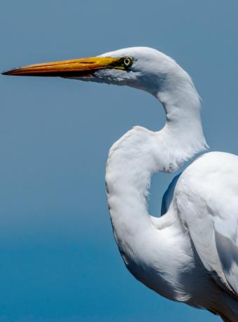 visiter parc des oiseaux