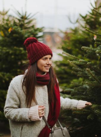 Marché de noël Sélestat ANCV