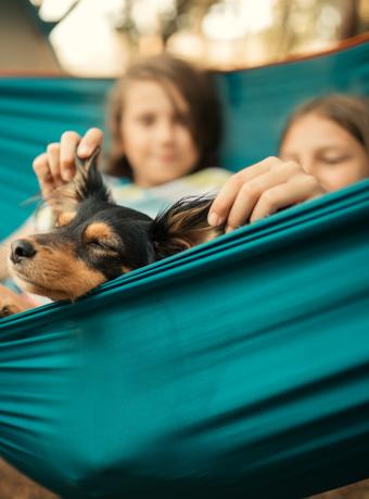 Chèque-Vacances voyage ANCV