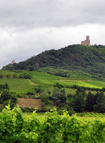 chateaux alsace ancv