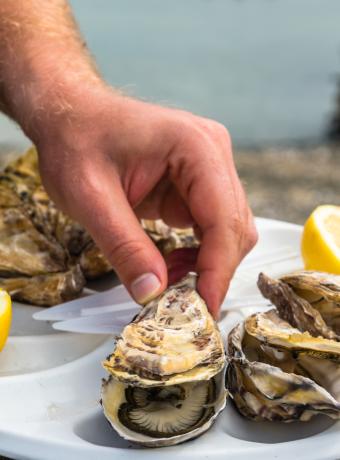 deguster huitres quand il pleut saint-malo
