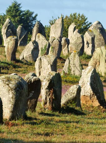musée archéologique musée de la préhistoire carnac