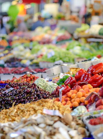 que faire à la rochelle marche central