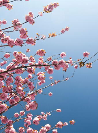 que visiter au havre en 24h jardins suspendus