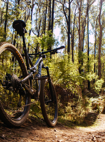 balade velo strasbourg canal piste des forts