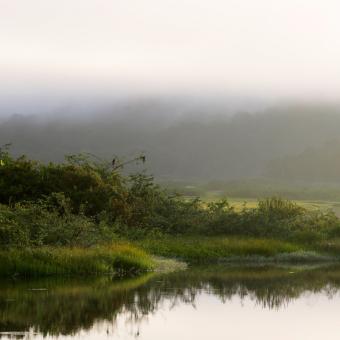 louer une voiture Guyane ANCV