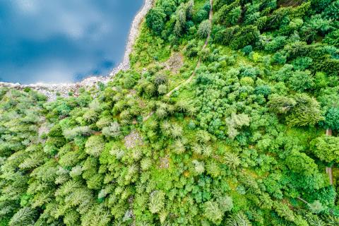 Nos 4 idées de randonnées dans les Vosges avec les Chèques-Vacances
