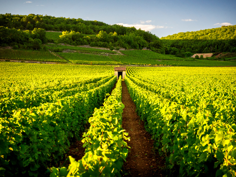 que faire autour de bordeaux cheque vacances
